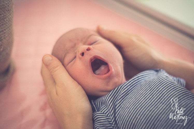 © PMP-005-2106-010317